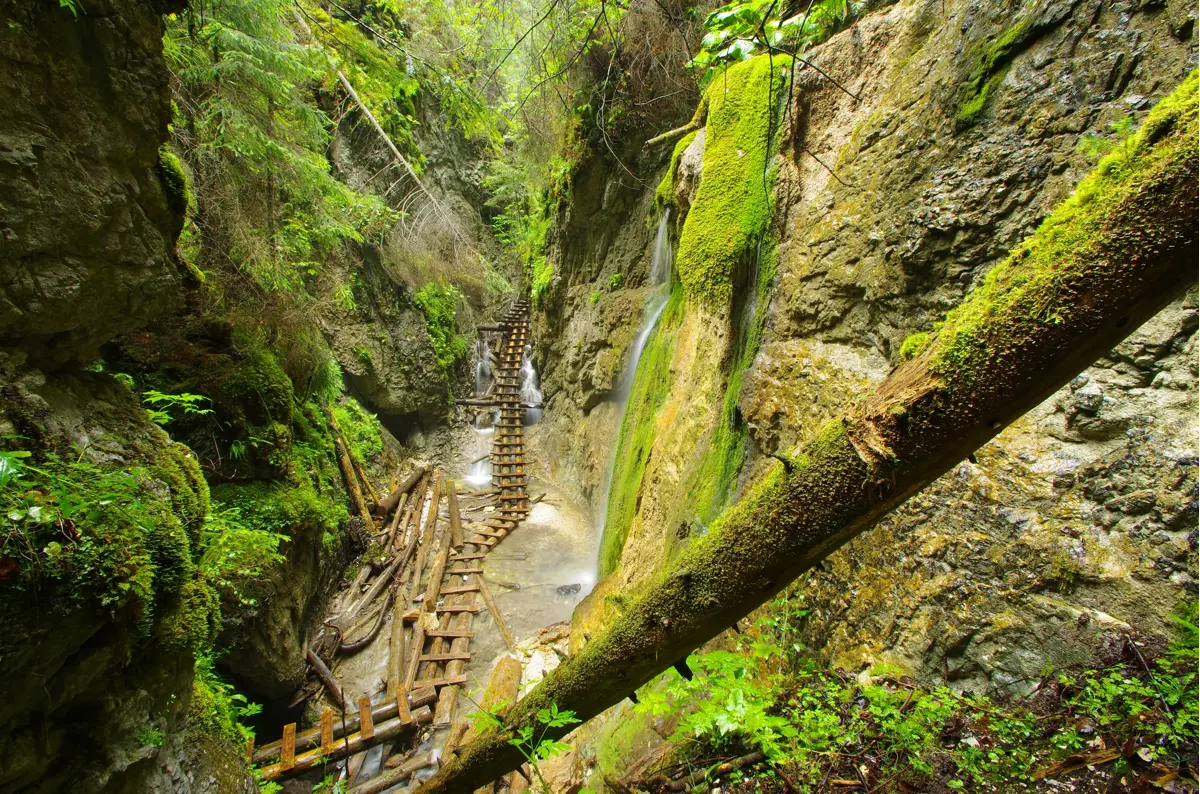 Slovakia in Autumn: A Guide to Golden Forests, Wine Trails, and Cozy Traditions