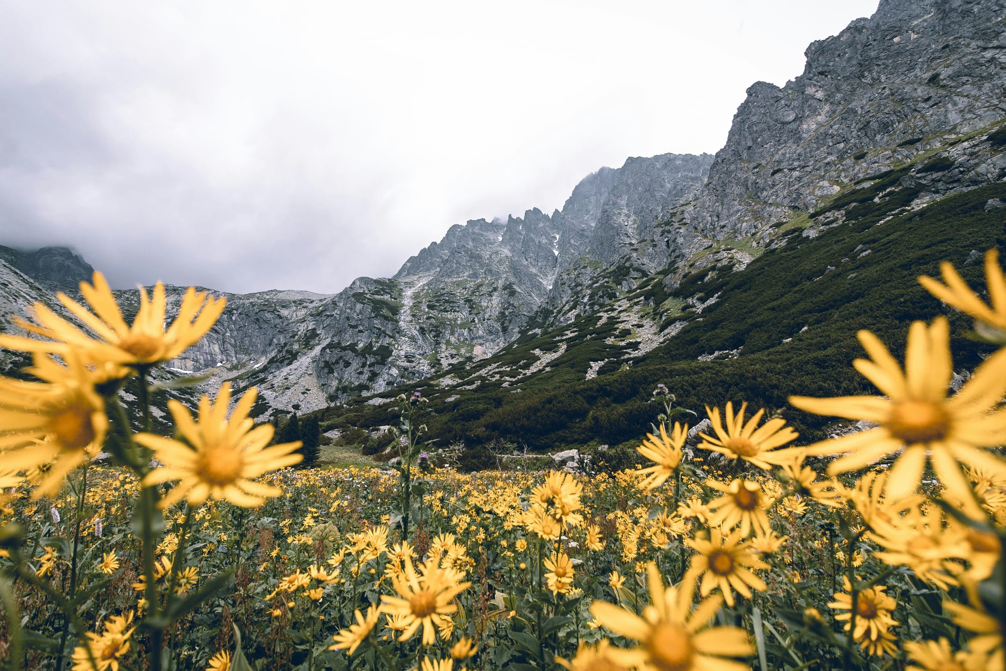 Slovakia in Autumn: A Guide to Golden Forests, Wine Trails, and Cozy Traditions